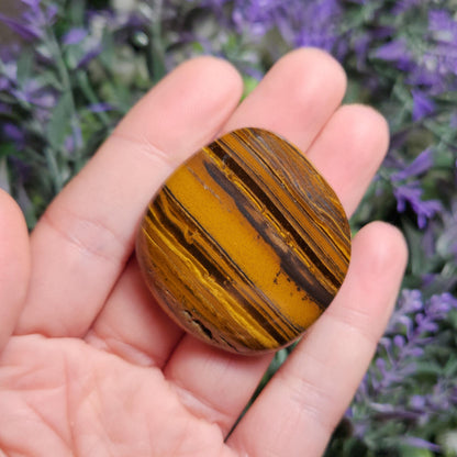 Tiger Iron Palm Stone Crystal (1.25"+), Tigers Eye Polished Specimen