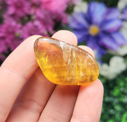 Yellow Fluorite