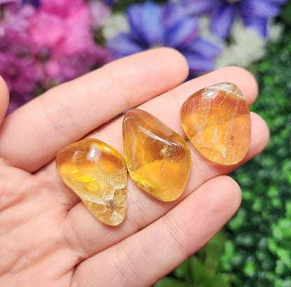 Yellow Fluorite
