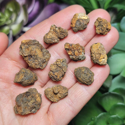Kenyan Meteorite Specimen