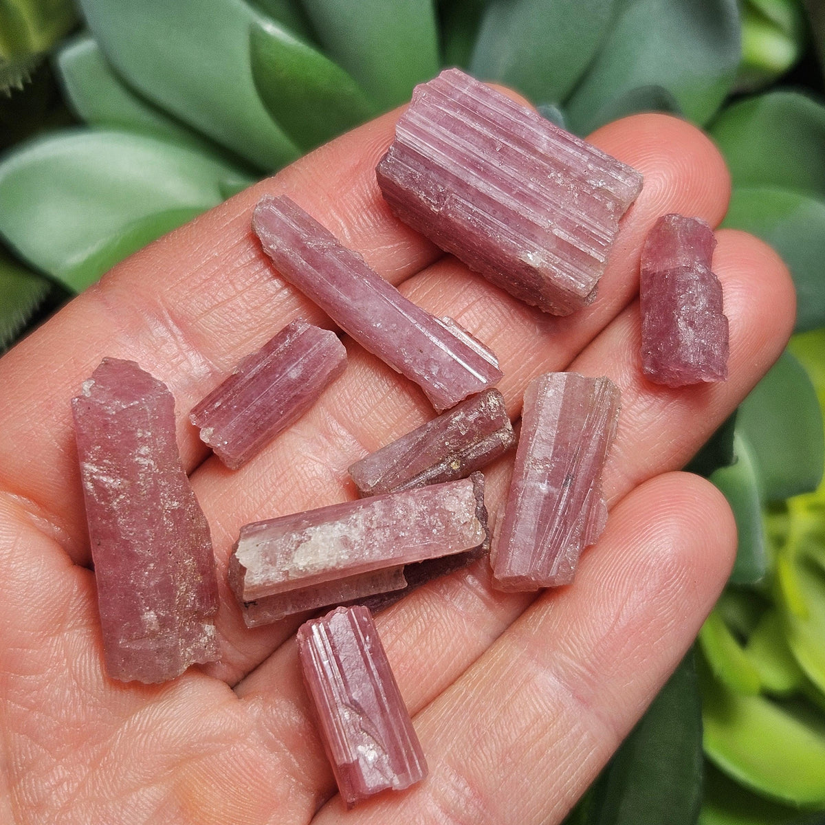 Raw Pink Tourmaline Crystal