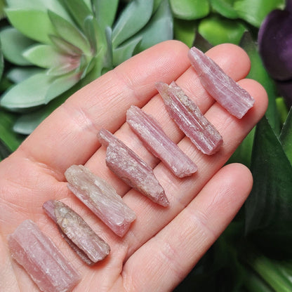 Raw Pink Tourmaline Crystal
