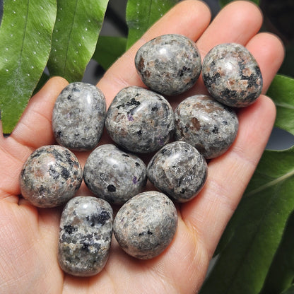 Yooper Light Tumbled Stone