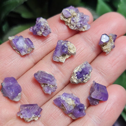 AAA Purple Apatite