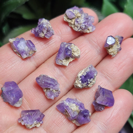 AAA Purple Apatite