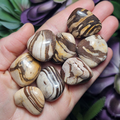 Red Zebra Jasper