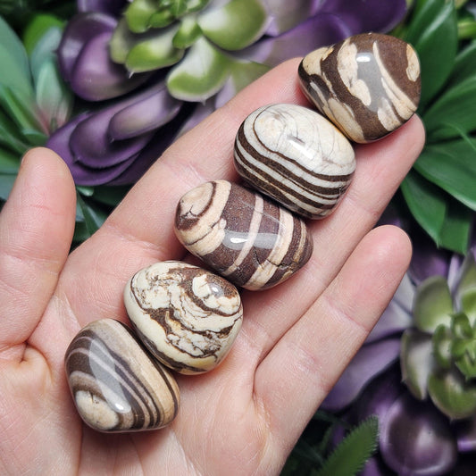 Red Zebra Jasper