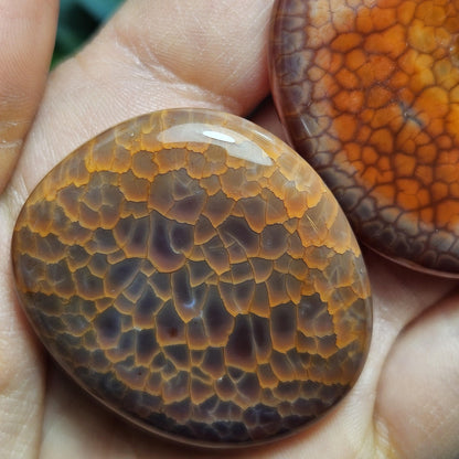 Snakeskin Agate