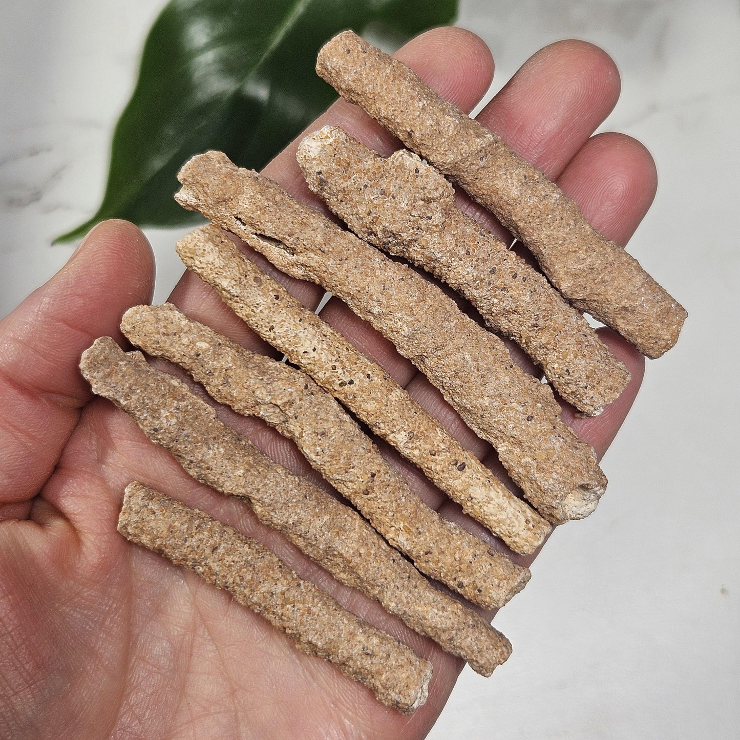 RARE Lightning Fused FULGURITE