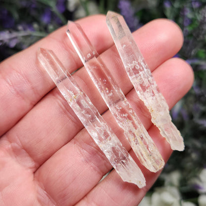 Angel Chime Lemurian Quartz