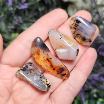 Montana Agate