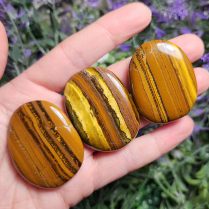 Tiger Iron Palm Stone Crystal (1.25"+), Tigers Eye Polished Specimen