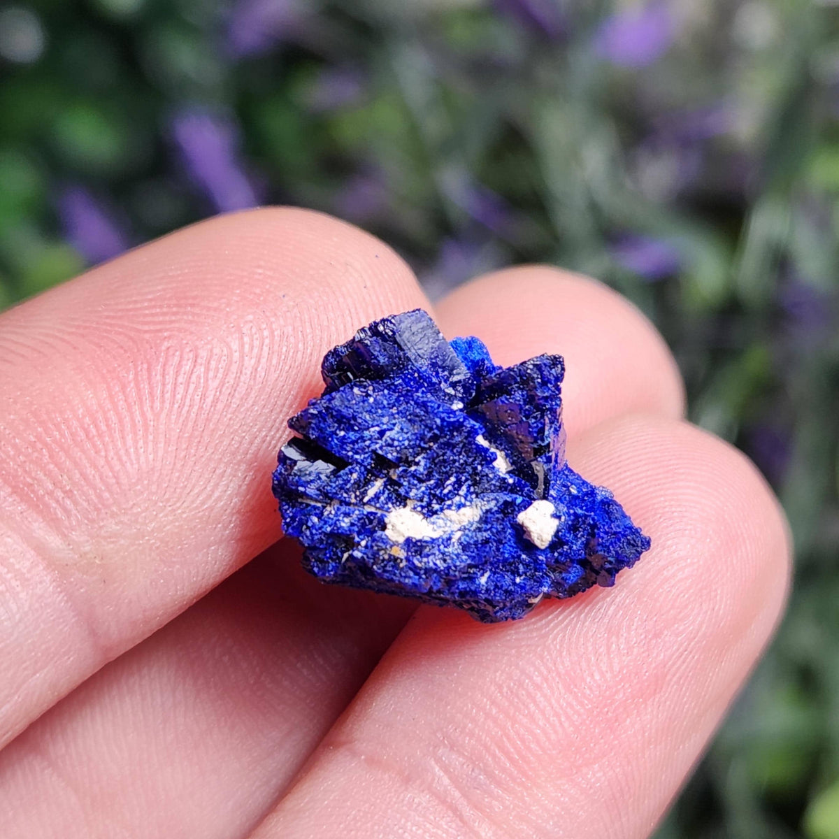 Azurite Crystal Specimen from Morocco, Druzy Terminated Blue Azurite Stone
