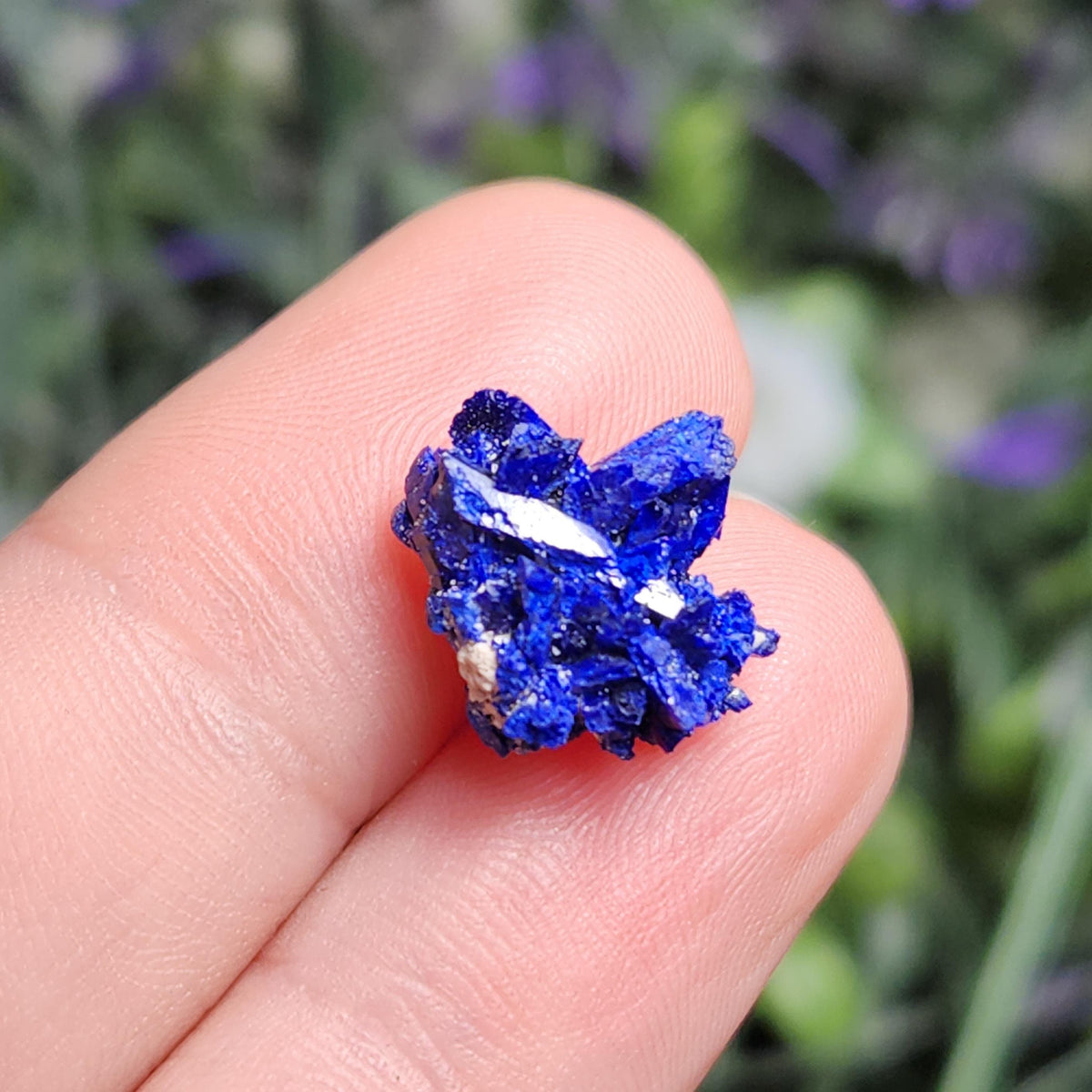 Azurite Crystal Specimen from Morocco, Druzy Terminated Blue Azurite Stone