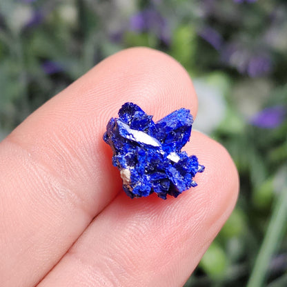 Azurite Crystal Specimen from Morocco, Druzy Terminated Blue Azurite Stone