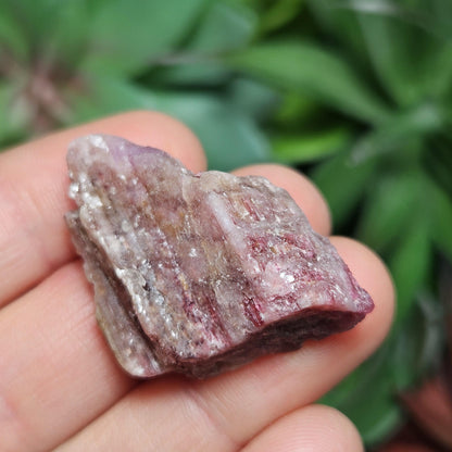 Brazilian Pink Tourmaline & Lepidolite Crystal