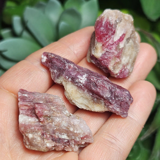 Brazilian Pink Tourmaline & Lepidolite Crystal