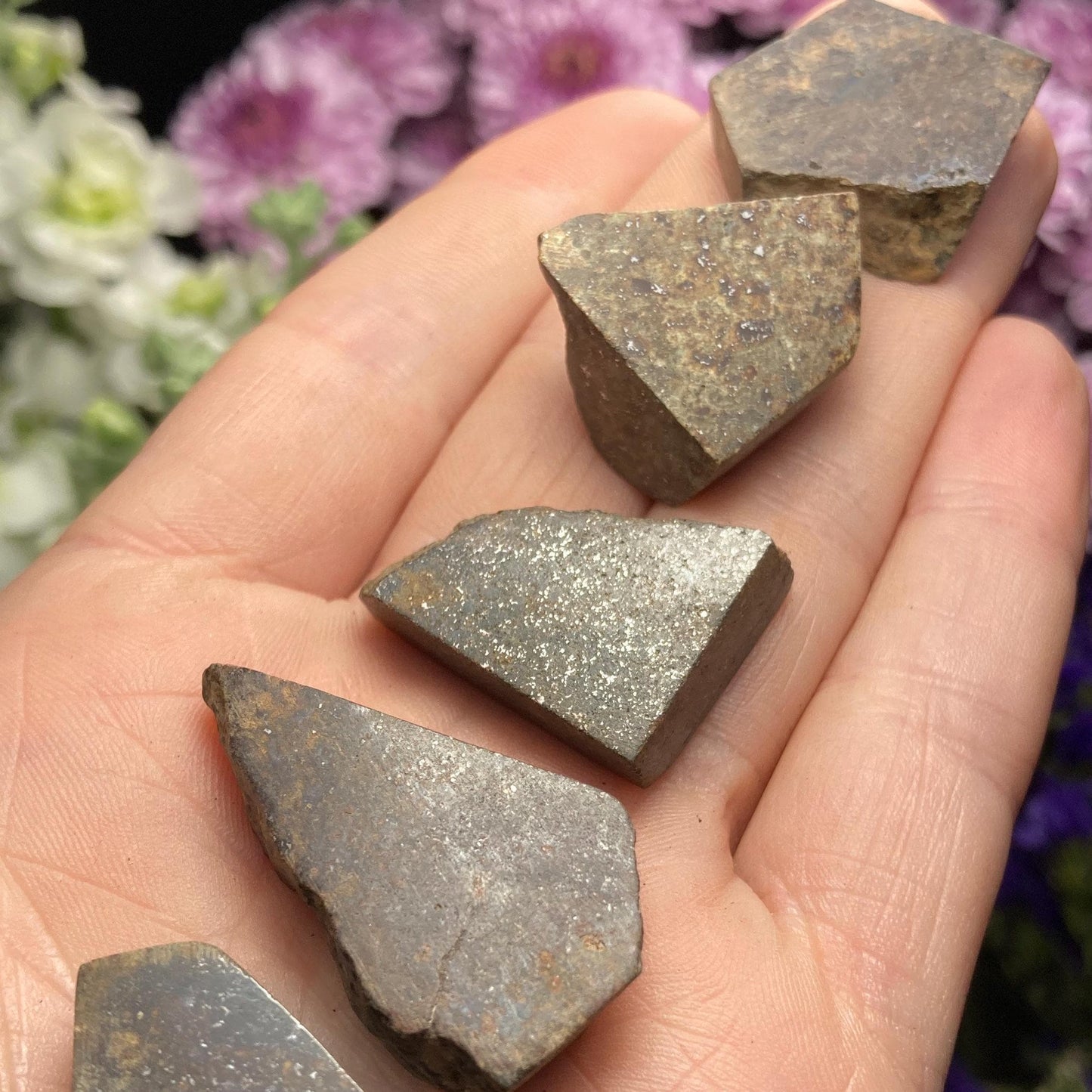 Meteorite Specimen