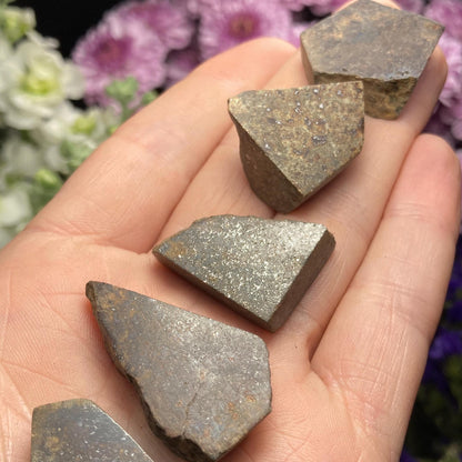 Meteorite Specimen