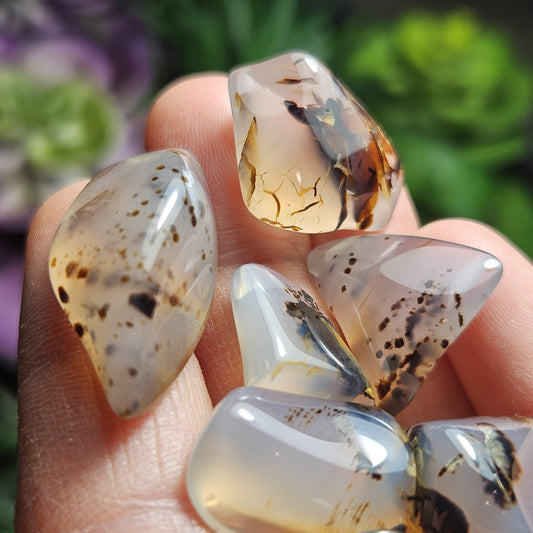 Montana Agate