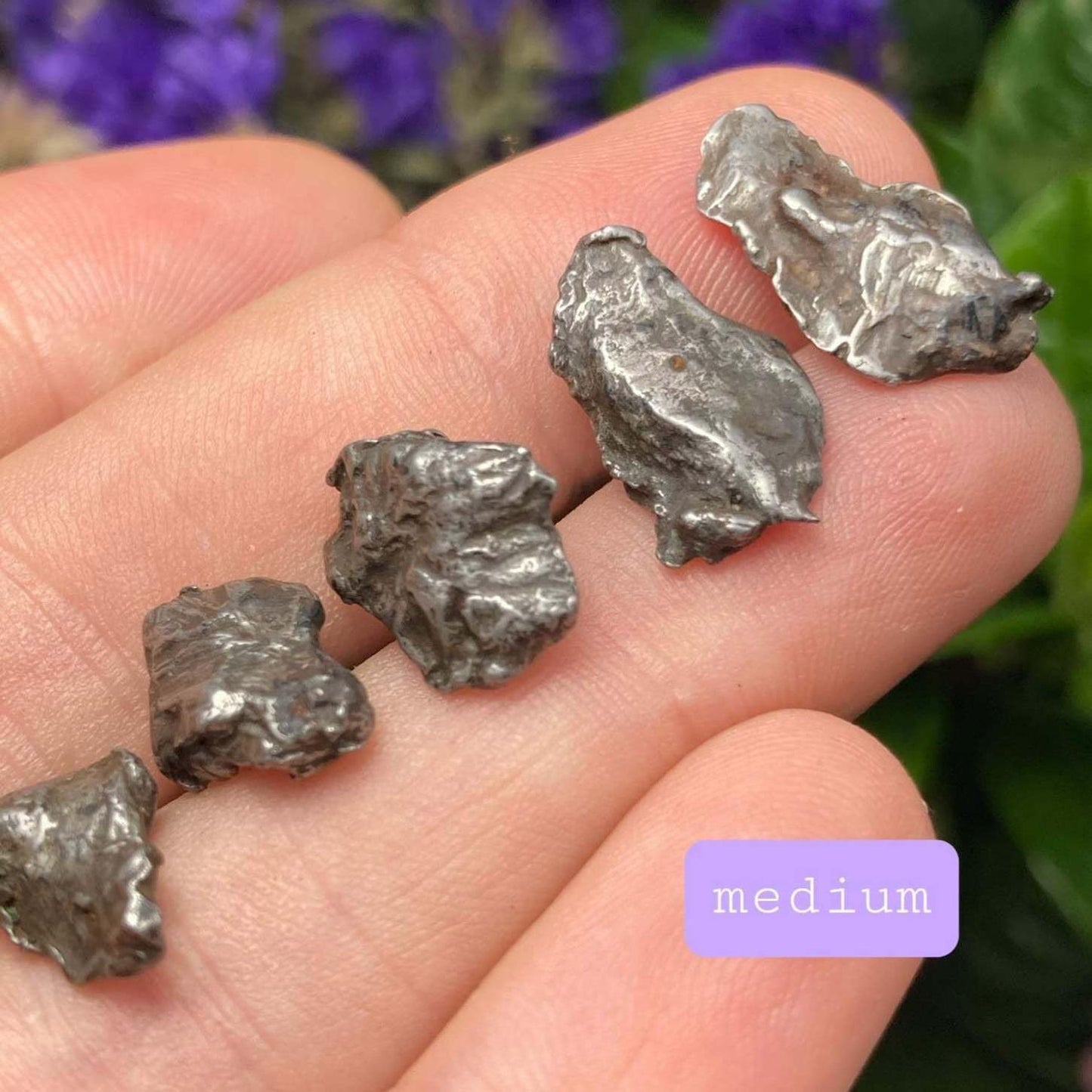Meteorite