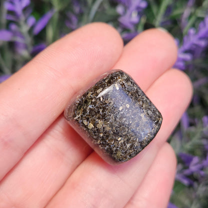 Indian Nuummite
