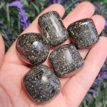 Indian Nuummite