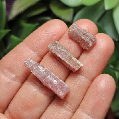 Raw Pink Tourmaline Crystal