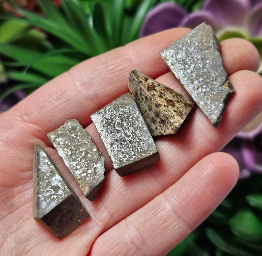 Meteorite Specimen