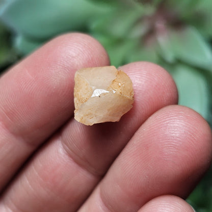 Raw Peach Garnet