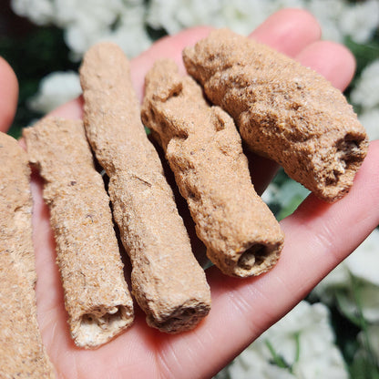 RARE Lightning Fused FULGURITE