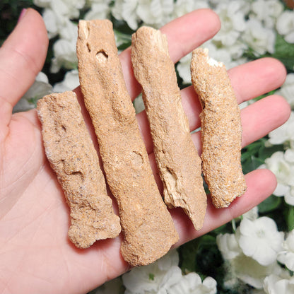RARE Lightning Fused FULGURITE
