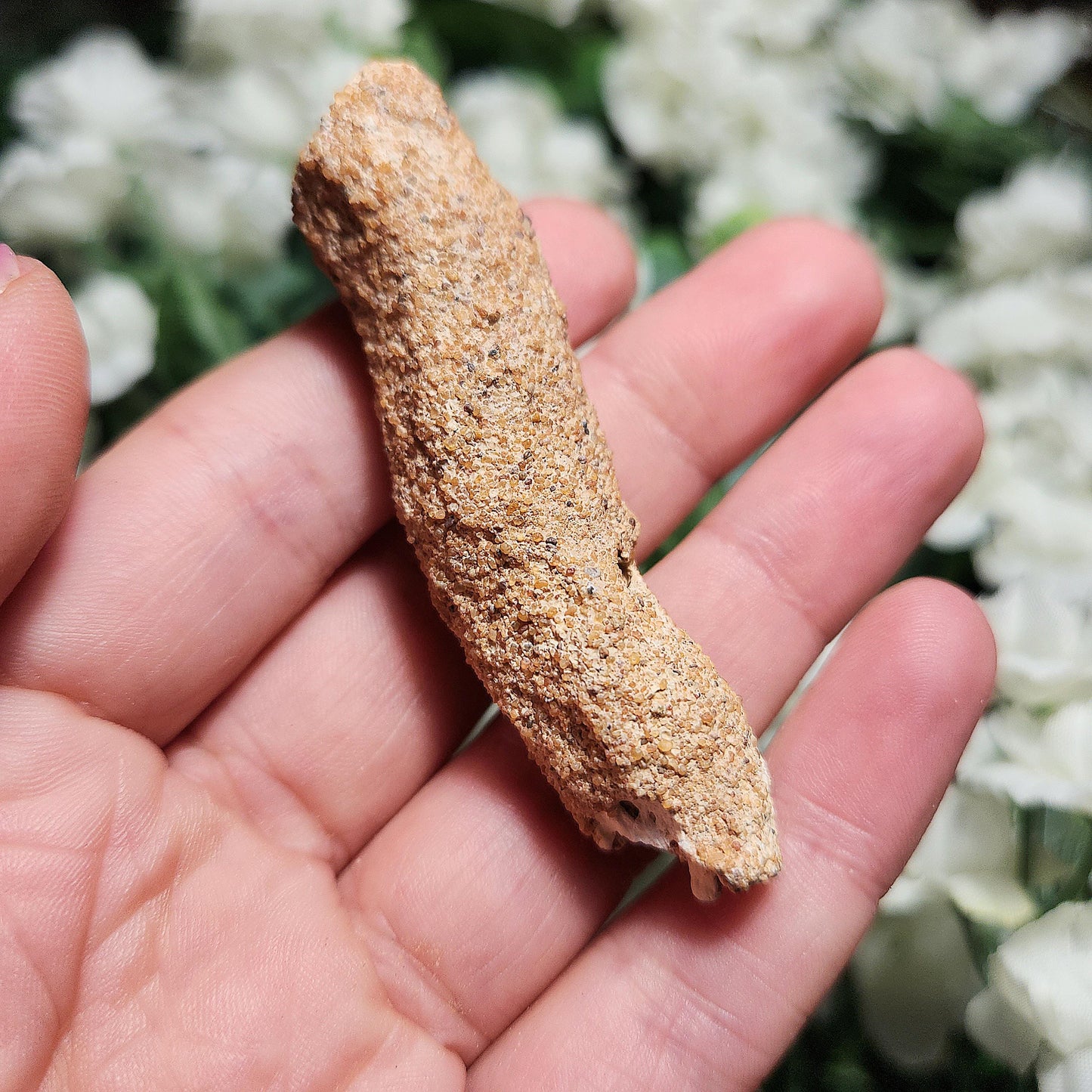 RARE Lightning Fused FULGURITE