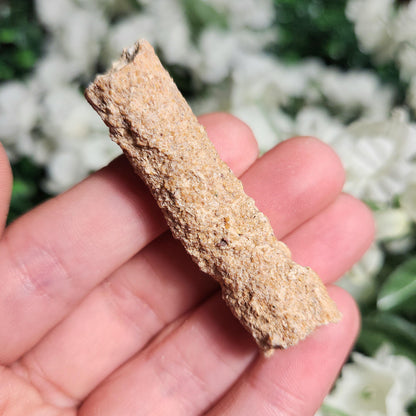 RARE Lightning Fused FULGURITE