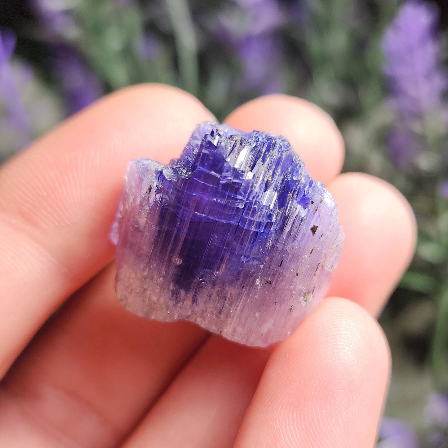 Tanzanite Crystal