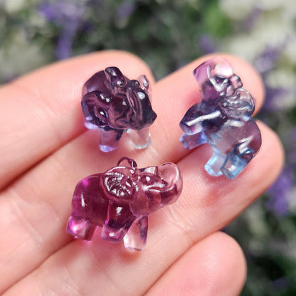 Rainbow Fluorite Elephant Carving