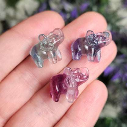 Rainbow Fluorite Elephant Carving