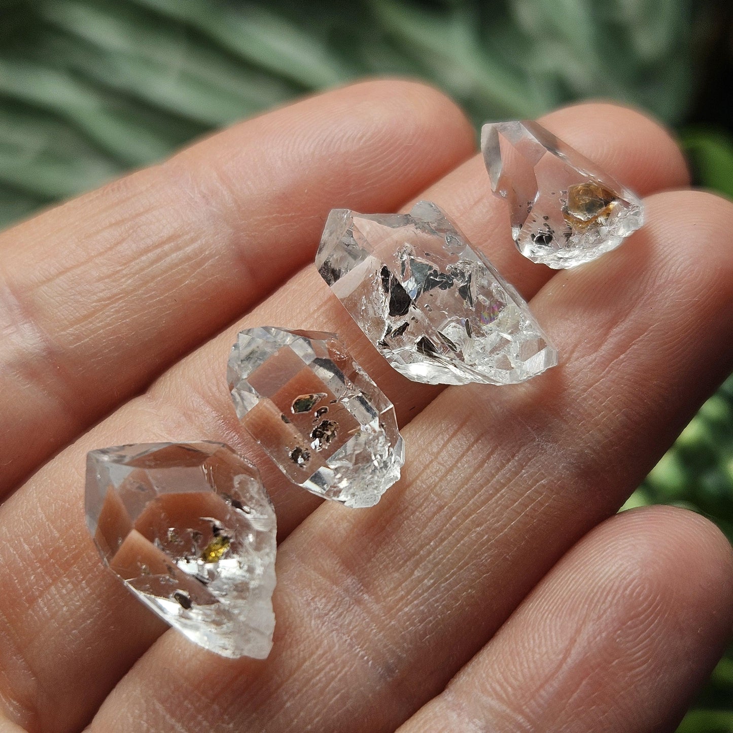 Carbon & Petroleum Enhydro Quartz