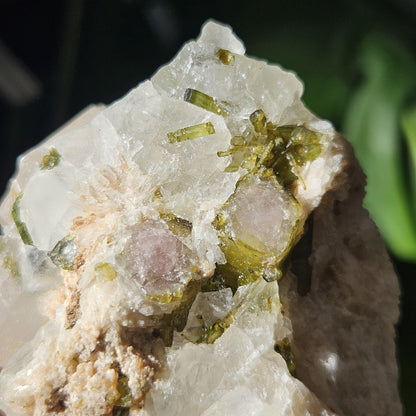 363g Watermelon Tourmaline & Quartz Specimen