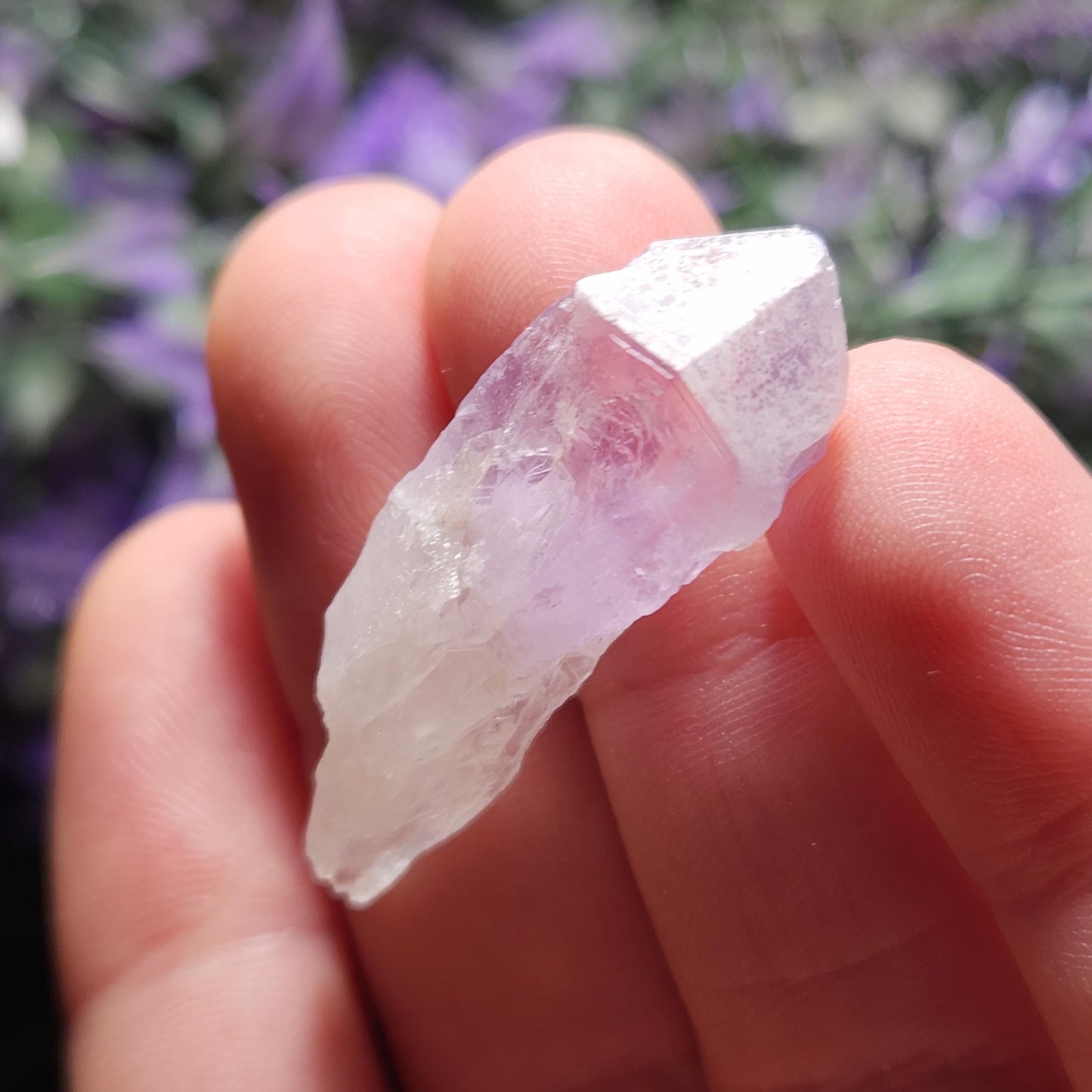Sugar Capped Amethyst Points