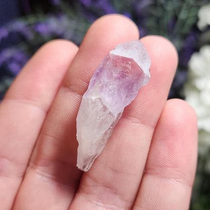 Sugar Capped Amethyst Points