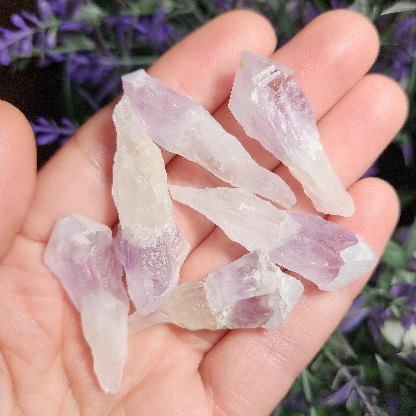 Sugar Capped Amethyst Points