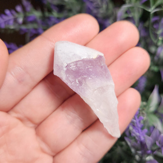 Sugar Capped Amethyst Points