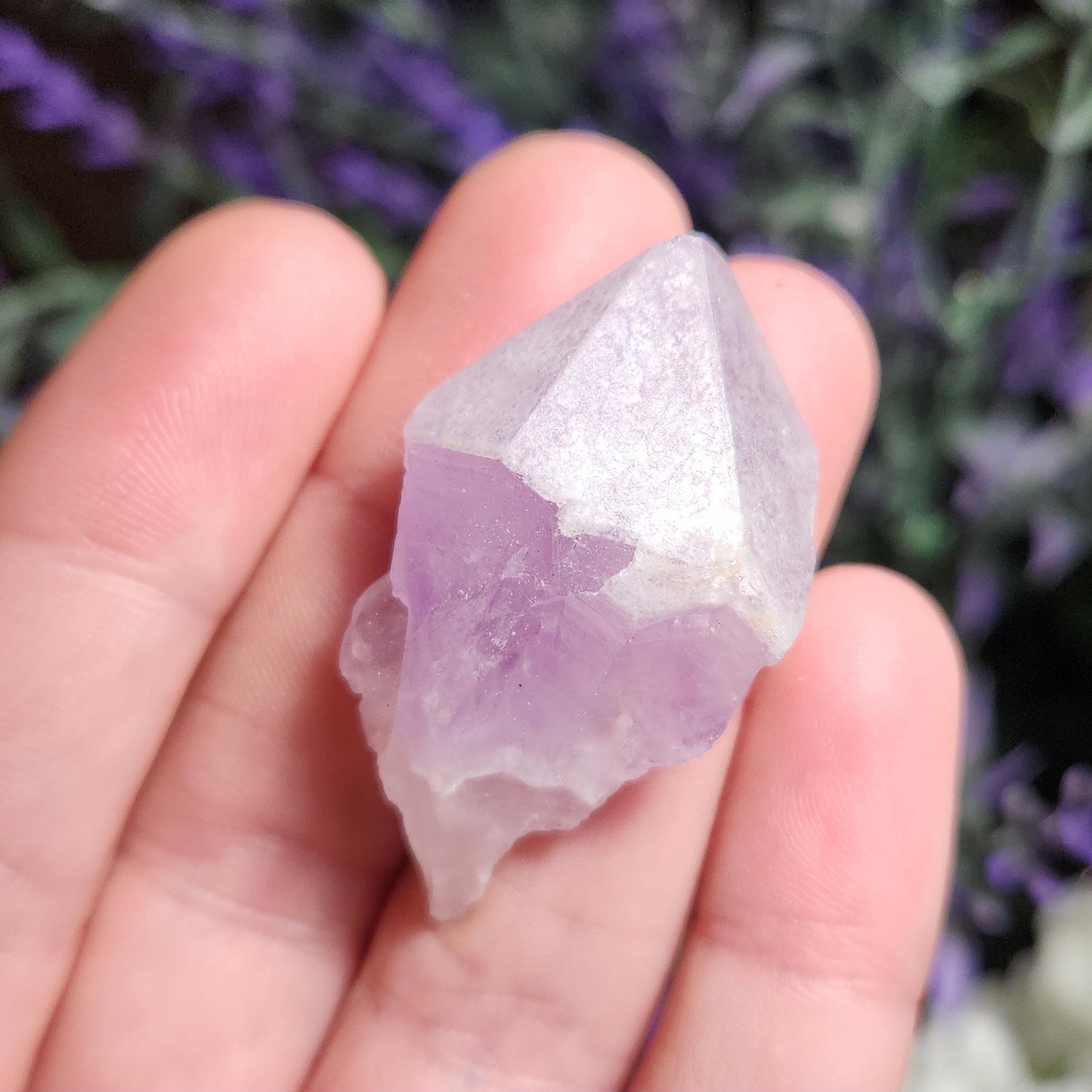 Sugar Capped Amethyst Points