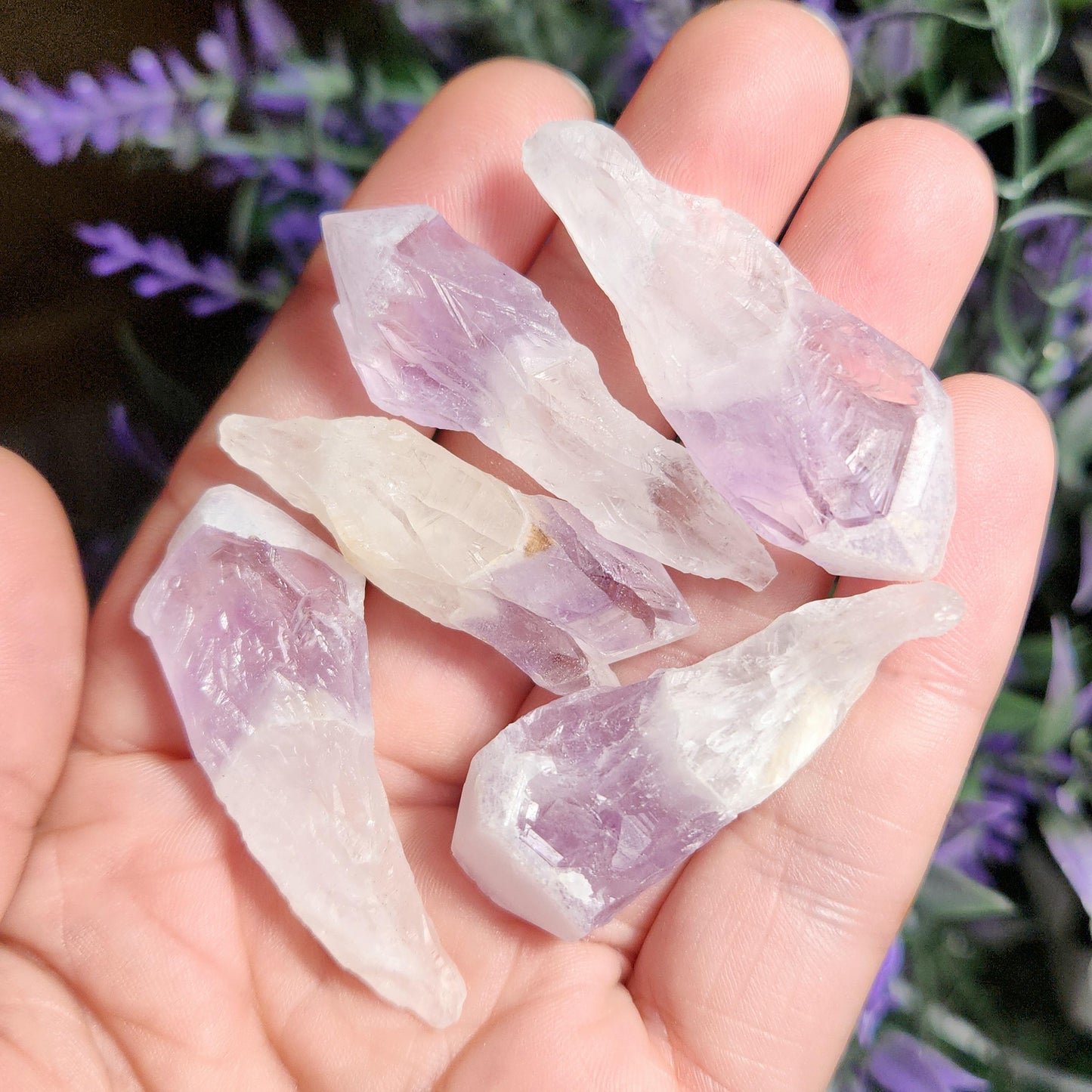 Sugar Capped Amethyst Points