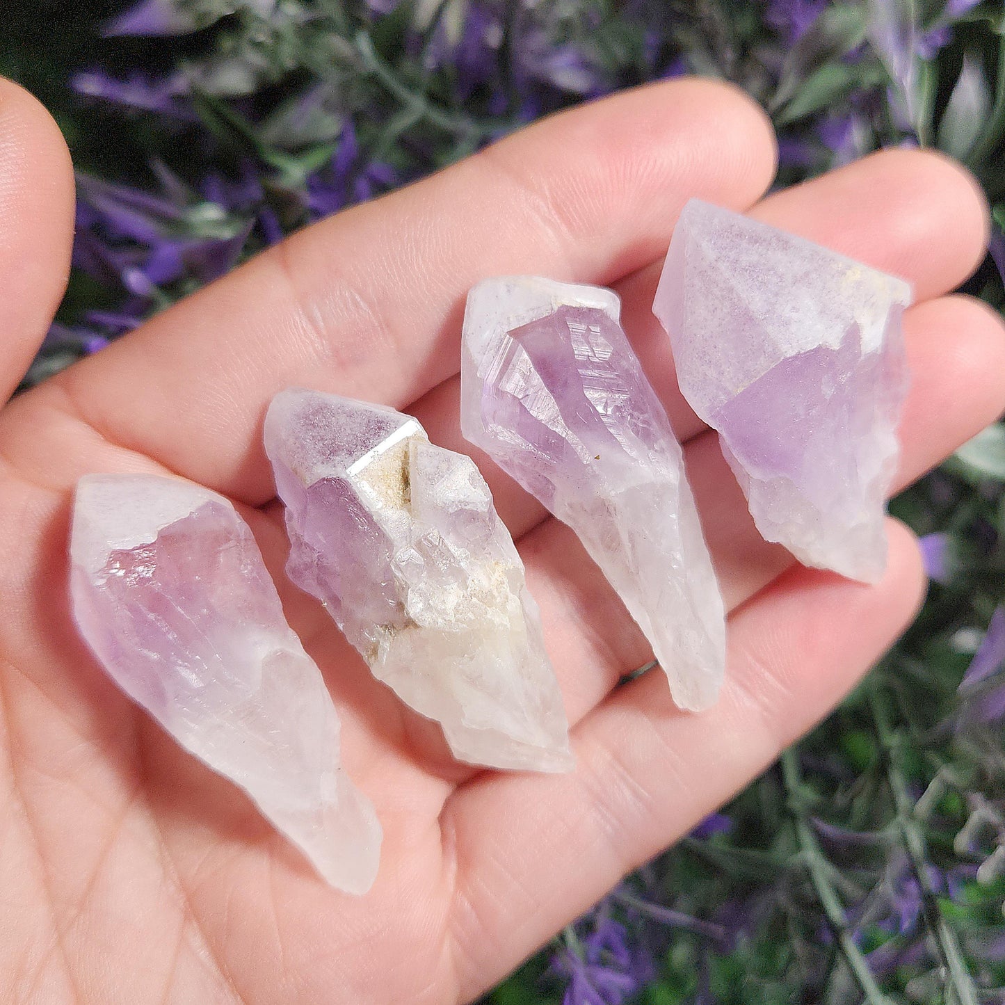 Sugar Capped Amethyst Points