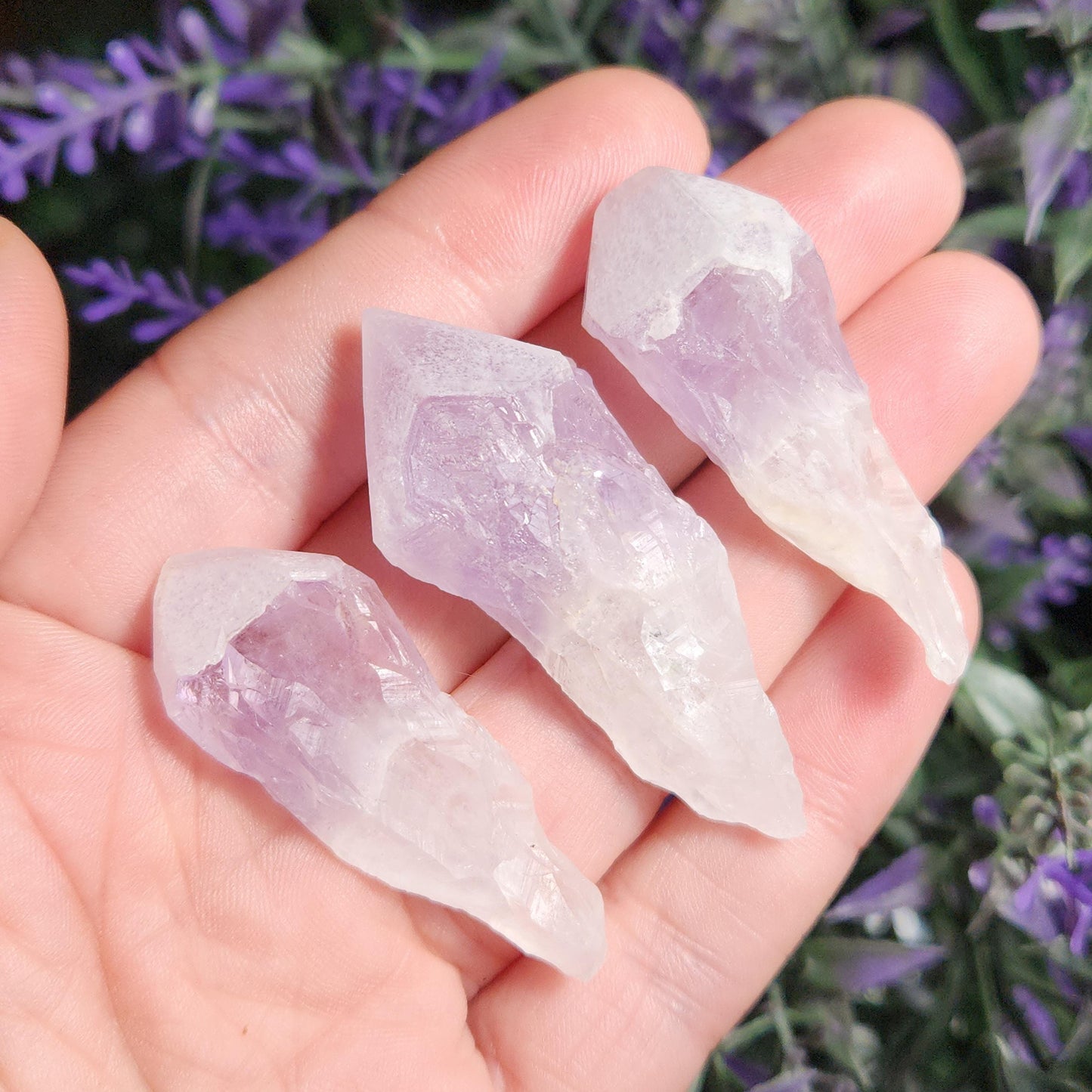 Sugar Capped Amethyst Points