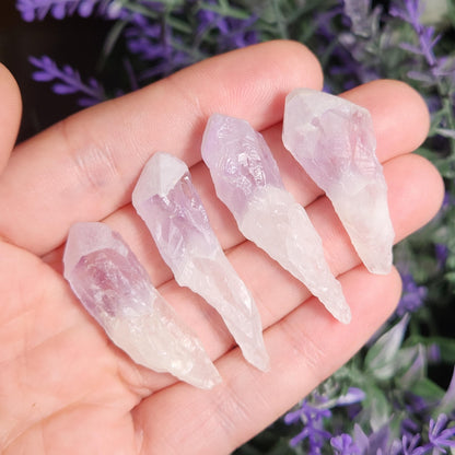 Sugar Capped Amethyst Points