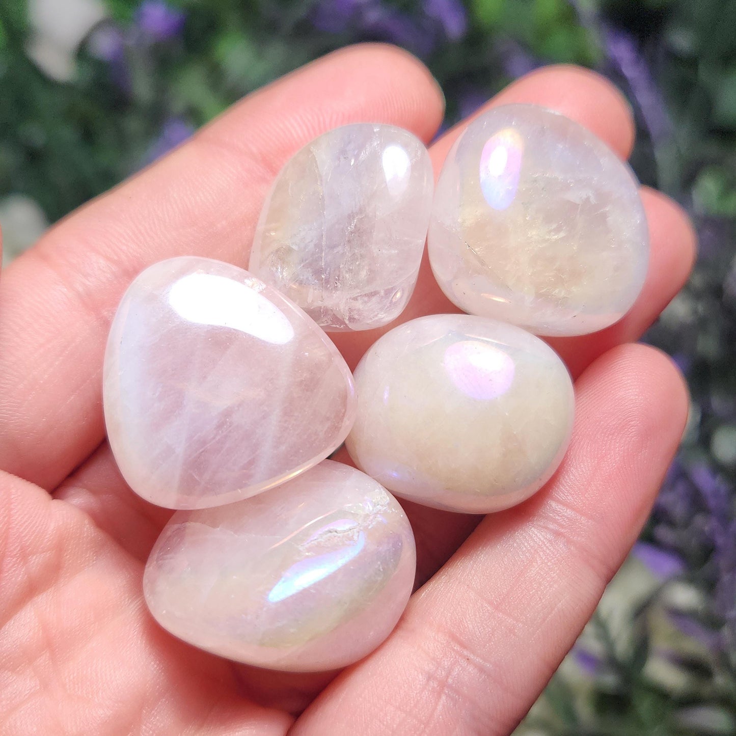 Angel Aura Rose Quartz Crystal