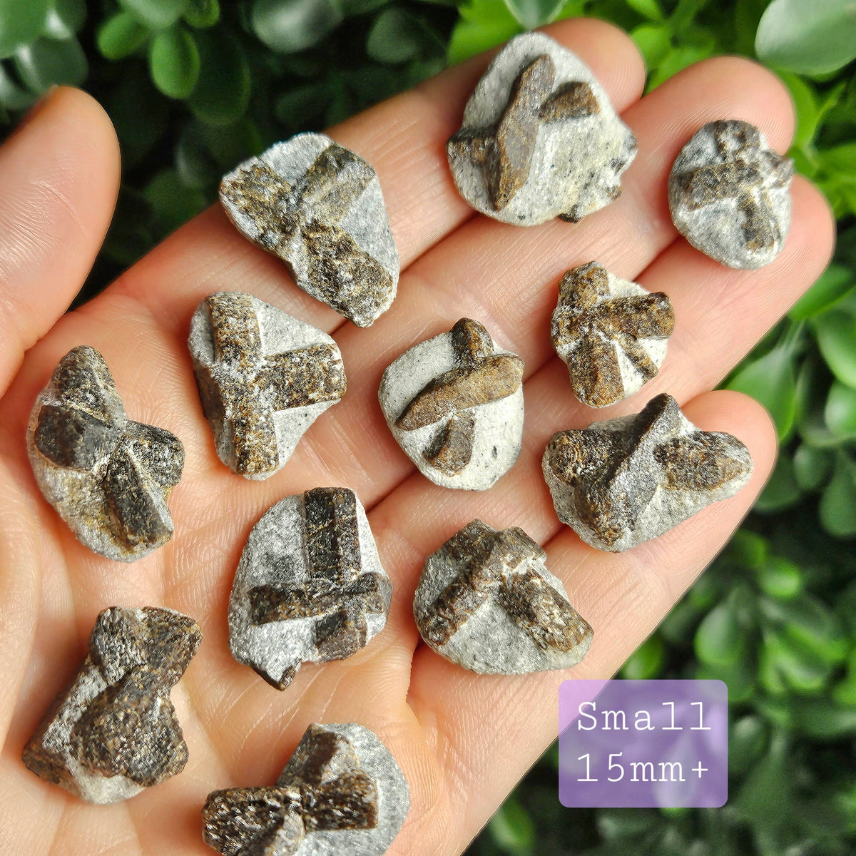 Raw Staurolite Crystal, Natural Fairy Cross Stone Specimen